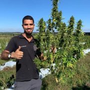 foto-b-cannabis-uruguai-768x1024